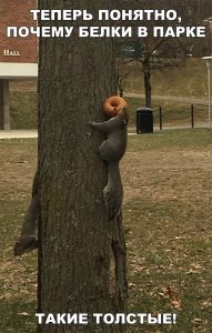 Всё понятно