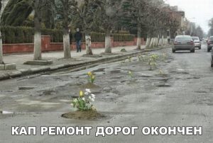 Засадили