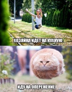 Захожу на посадку