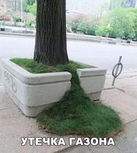 Газон убегает