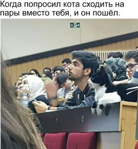 И всё пересказал