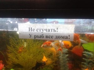 Они вам не ответят