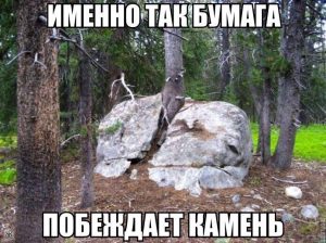 Сила в бумаге