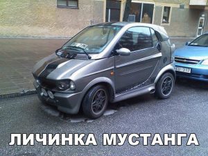 Скоро вырастет