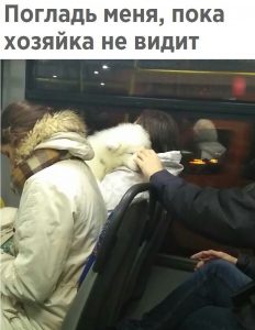 Только осторожно