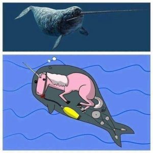 Вот оно как