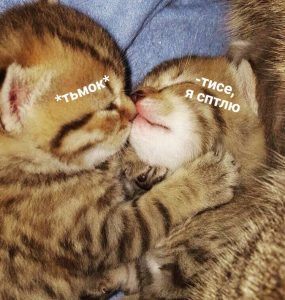 Милота