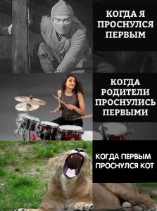 Кот раньше всех