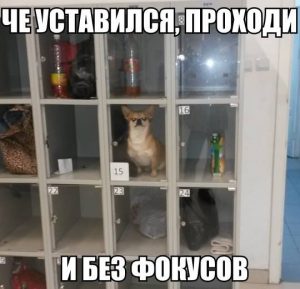 Я слежу