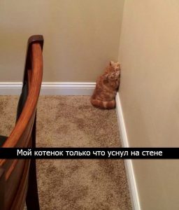 Лень