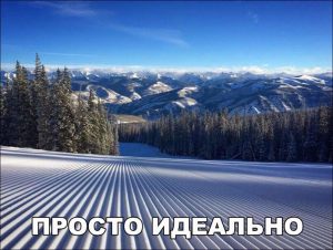 Лучшее фото