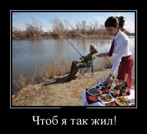 Что-бы все так жили