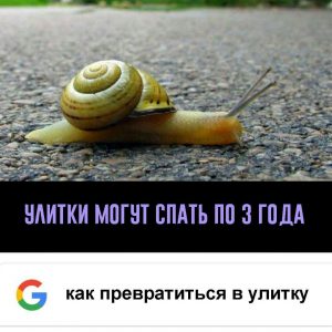 Навсегда