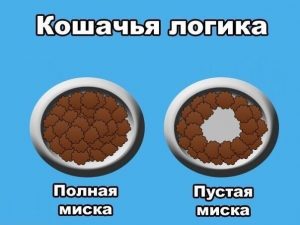 Непонятно