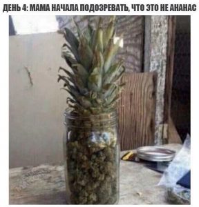 Почему же