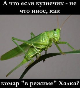 Сильный комар