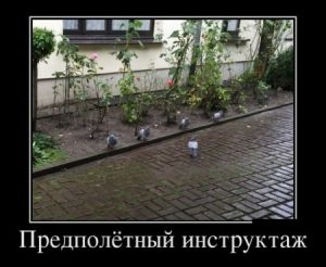 Сложный вылет