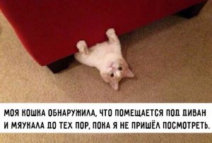 Смотри