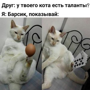 Талантлив во всём