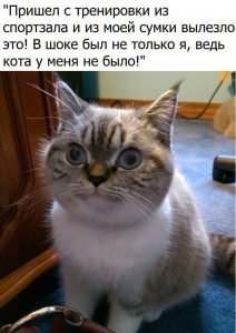 Теперь есть