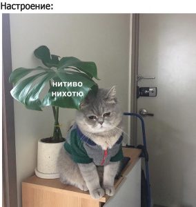 Только отдыхать