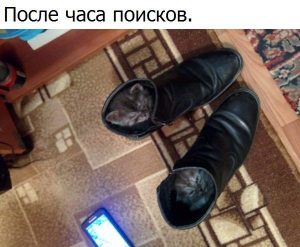 В тепле