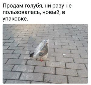 Живой
