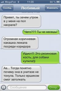 Замаскированная игрушка