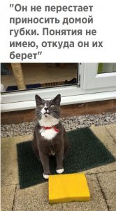 У соседей