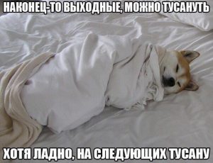 В следующем году