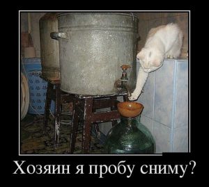 А то вдруг неготова