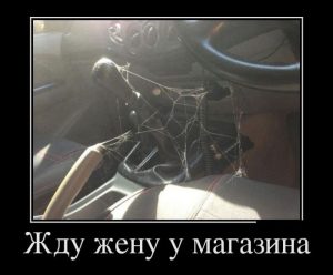 Долго жлу