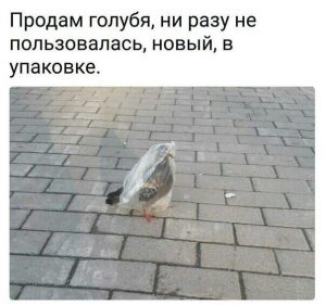 Я беру