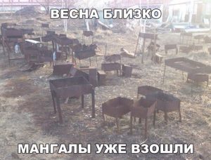 Скоро шашлык появится