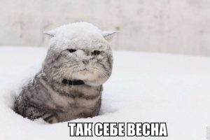 Какая-то снежная