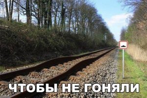 Рельсовый полицейский