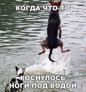 Беги