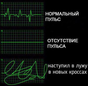 Белых
