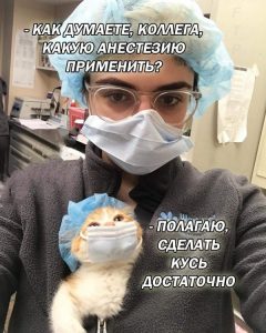 Делай