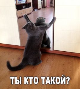 Я это ты