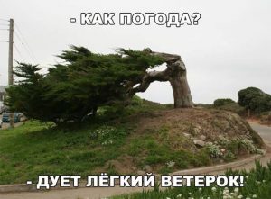 И ярко светит солнце