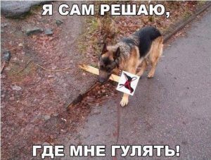 Я закон