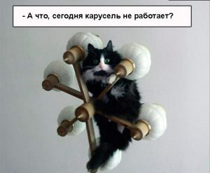 ОЧень жаль