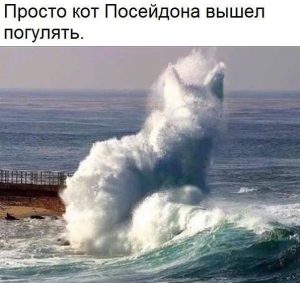 Не надолго
