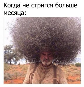Полстригусь позже