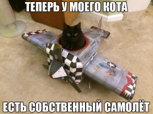 Полетел