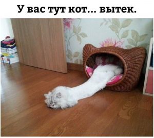 Сейчас соберём