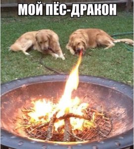 Всегда помогает