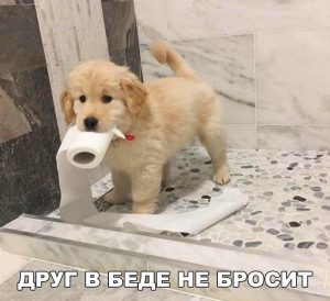 Всегда помогут
