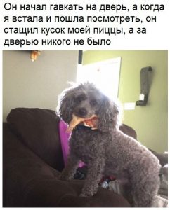 Хитрый